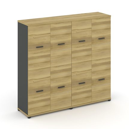 Concept Шкаф 2 широкие секции, 4 ниши CN.STS-422 A Дуб Винченцо/Антрацит/Металл Антрацит 1668*420*15