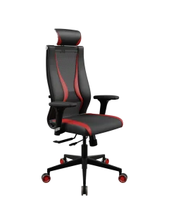 SynchroSit 10
